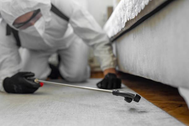Professional Pest Control technician working in Hoke County County, NC